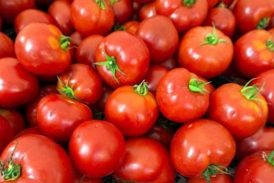 토마토가격상승.jpg